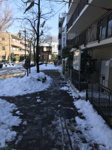 雪かきされた工務店さんの事務所前の歩道