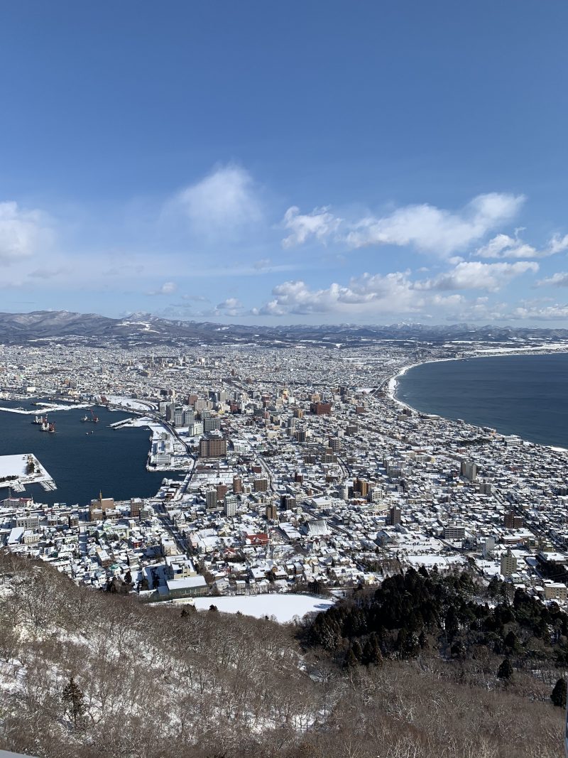 函館山から絶景
